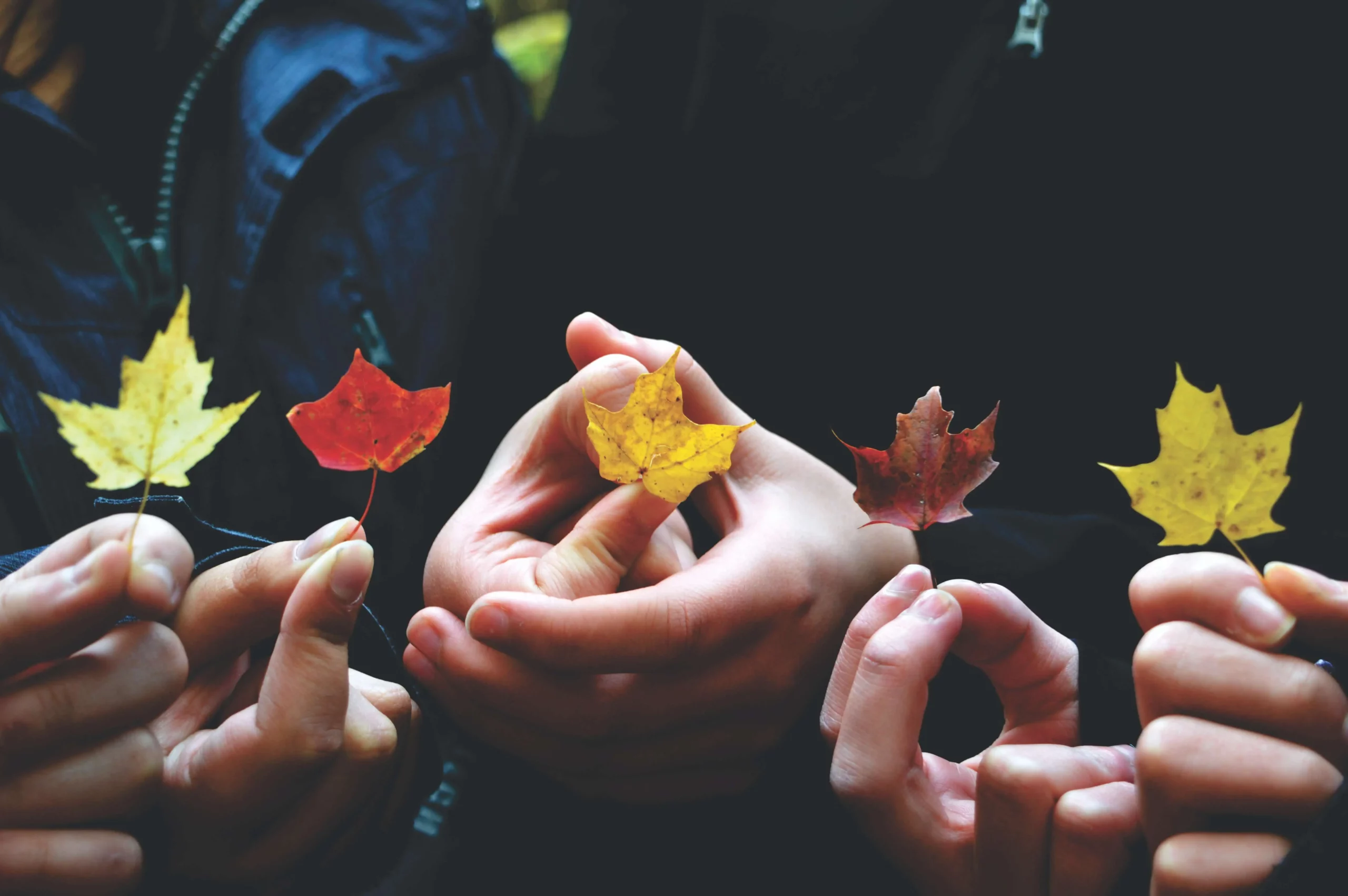 un collectif de personnes qui tiennent des feuilles d'arbres de différentes couleurs